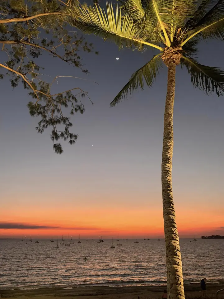 Darwin sunset through palm trees